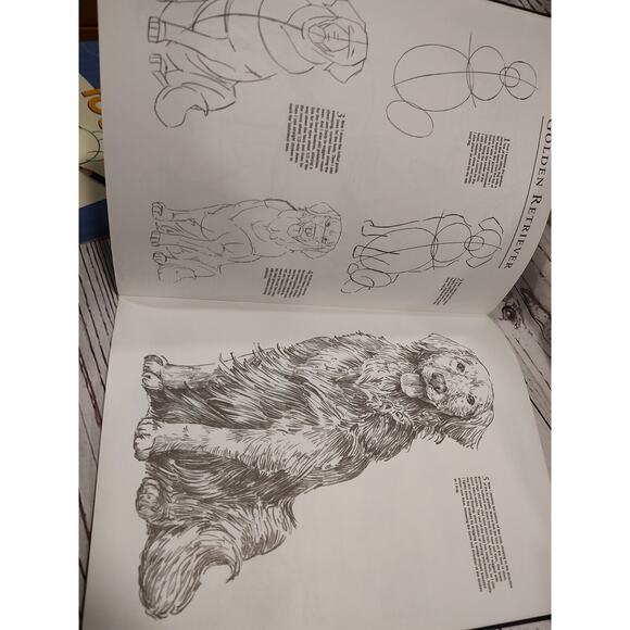 Drawing Pets Learn to Draw Step by Step by Tavonatti, Mia How To Book - Picture 3 of 5